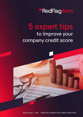 Guide with 5 expert tips to improve your company credit score by Red Flag Alert